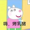 骑老奶奶闯红灯头像