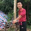 牌牌成头像