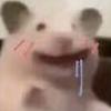 真香泡面头像