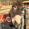 大驴说案头像