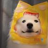 犯困小狗🐶头像