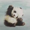 观星·学古文头像