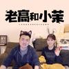 老高与小茉 ban运中头像