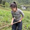 小慧儿🌾头像