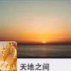 天地之间袁梦头像
