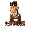 小马哥知识局头像