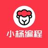 编程杨老师👨🏻‍💻头像