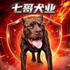 七哥犬业头像