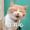 義成头像