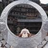 摄影人KingHo头像