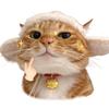叫我楠哥（猫meme版）头像