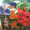 高州小罗（相聚荔乡）头像