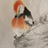 难得一见（泽超）头像