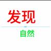 发现自然头像