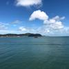 琴声是海头像