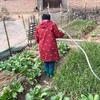 农村70后生活头像