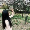 莲心今天干嘛啦头像