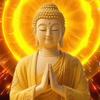 神豪大哥释明燊头像