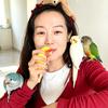 源宝家的福宝头像
