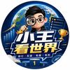 小王看世界头像