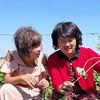 农村花姨头像