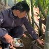 袁哥只养土鸡头像