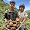 云南勇哥山货头像