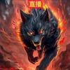 野狼🐺军事头像