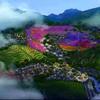 南山翁头像