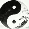 一苇渡江头像