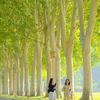 钰哥19号世纪婚礼现场叉叉头像