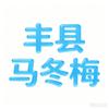 丰县马冬梅头像
