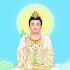 烈火灭虫头像