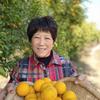 守山奶奶头像