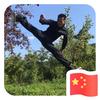 Ailin🇨🇳武之梦头像