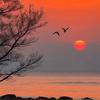 夕阳影视头像