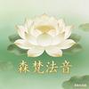 🪷森梵法音头像