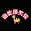 骆驼爆笑馆头像
