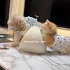 家有5只喵🐱头像