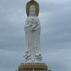 民女妞妞(首播)头像