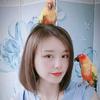一梦与鹦鹉🦜头像