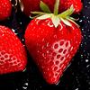 草莓教育百科🍓头像