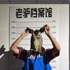 老驴档案馆头像