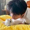 WP独立站James头像