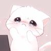 猫meme小小故事头像