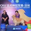 柏舜犬舍头像