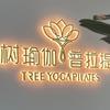 树·瑜伽普拉提（枋湖店）头像