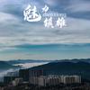 （视觉婚礼）摄影工叙📷头像