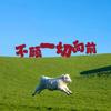职业生涯规划师—王老师头像