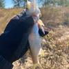 路亚渔乐人🎣头像